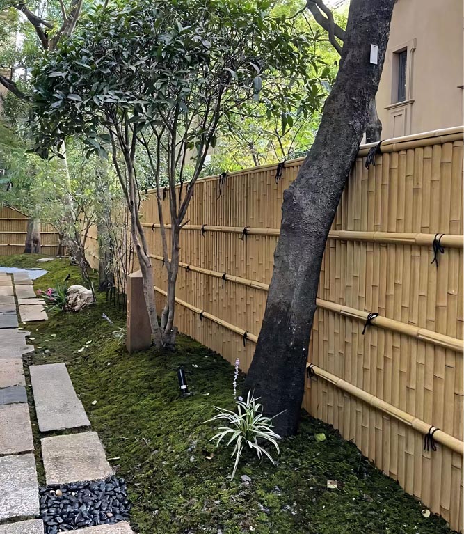 bamboo panel for fencing
